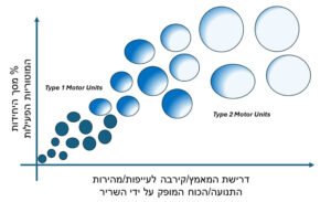 תהליכי אימון